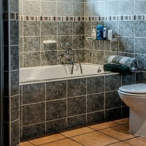 bathroom alcove bathtub style