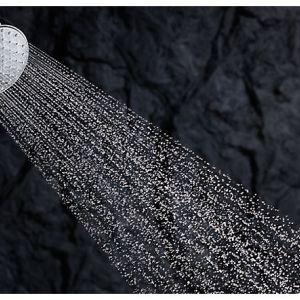 showerhead water filtration wall-mount shower installation | best showerheads | Weinstein Collegeville