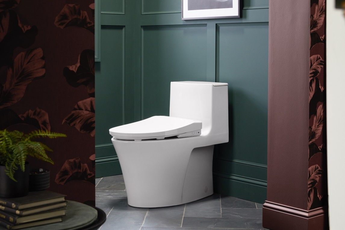 one-piece toilet
