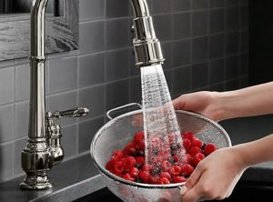 kitchen faucet soft spraying bowl of berries
