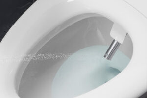 Kohler PureWash E930 bidet spray | Kohler bidet toilet seats