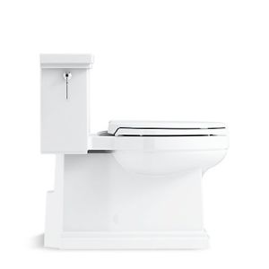 skirted trapway toilets
