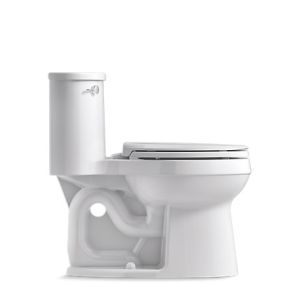 exposed trapway toilets