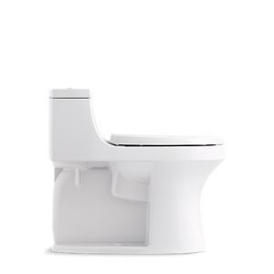 concealed trapway toilets